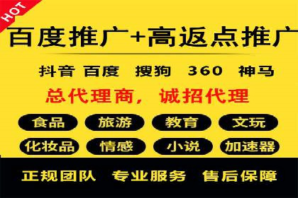 电商行业SEM运营的挑战与成功案例